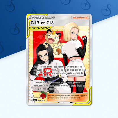 Carte - C17 & C18