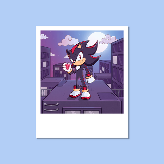 Polaroid Shadow - Sonic