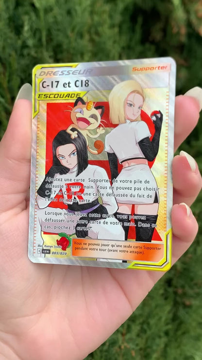 Carte - C17 & C18